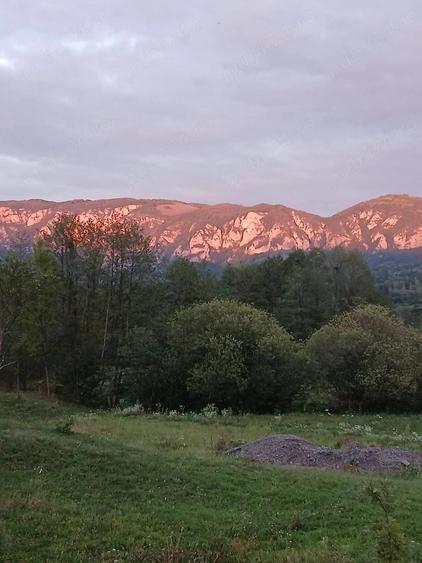 Teren de 500 mp, în Sălciua