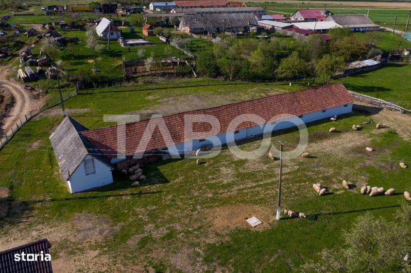 Casă cu 3 camere cu Teren 123 Mp în Pianu