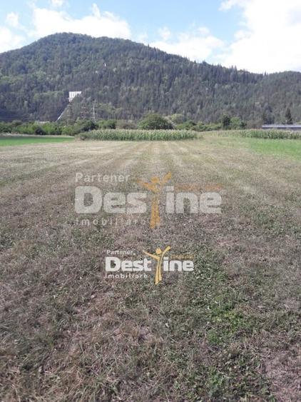Teren de vanzare Pangarati 58.000 Euro 4488mp Intravilan - 3