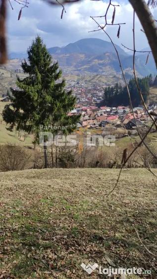 Teren de 5000 mp, în Rucăr