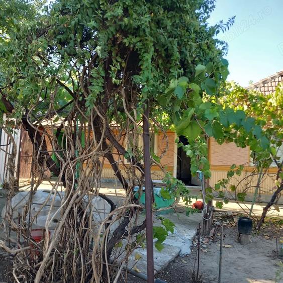 Casă cu 3 camere cu Teren 766 Mp în Sălciile