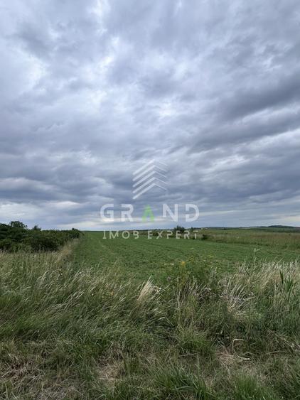 Teren Construcții intravilan de 5700 mp, în Copăceni
