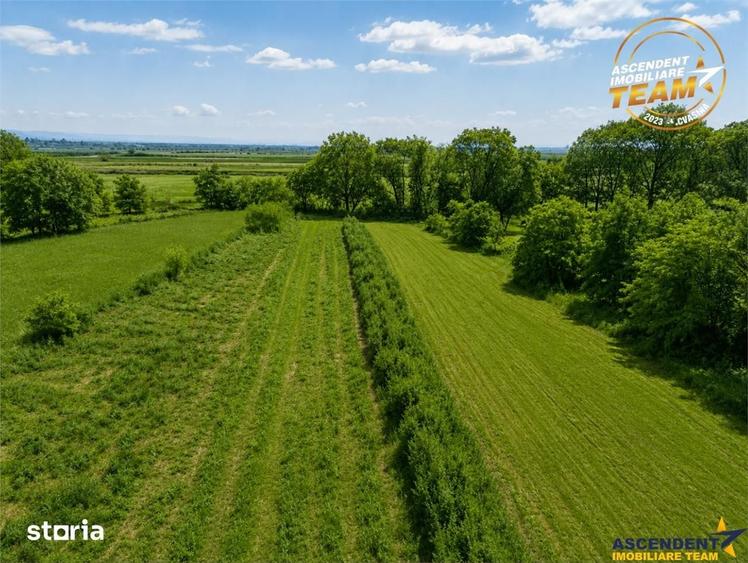 Teren de 4831 mp, în Boroșneu Mare