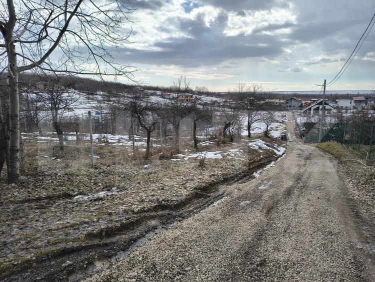 Teren Construcții intravilan de 10000 mp, în Păulești