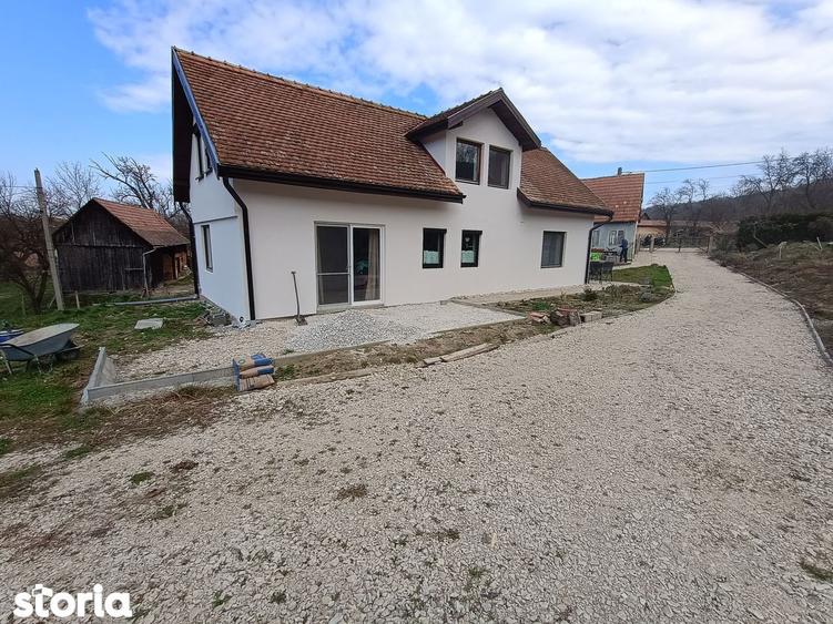 2 case pe curte / posibila investitie - 10