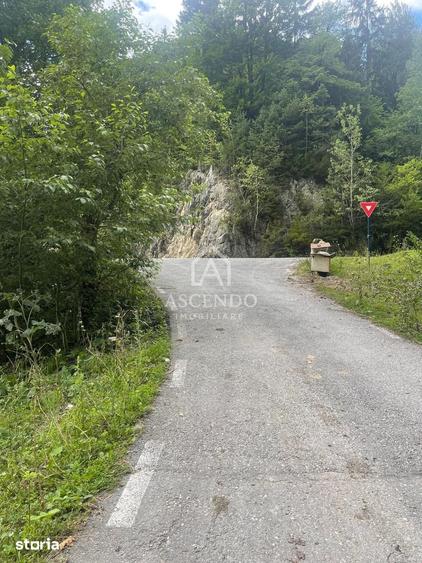 Teren de 4500 mp, în Dâmbovicioara
