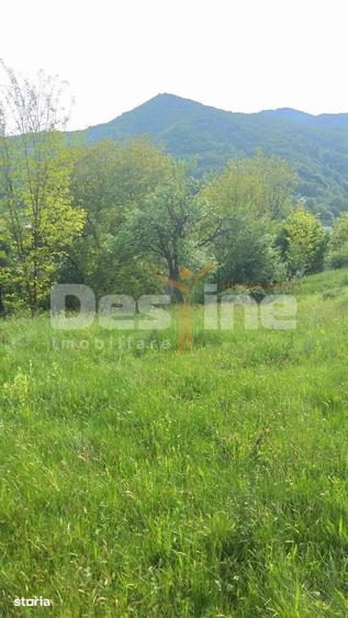 Teren de 3015 mp, în Dumbrăvești