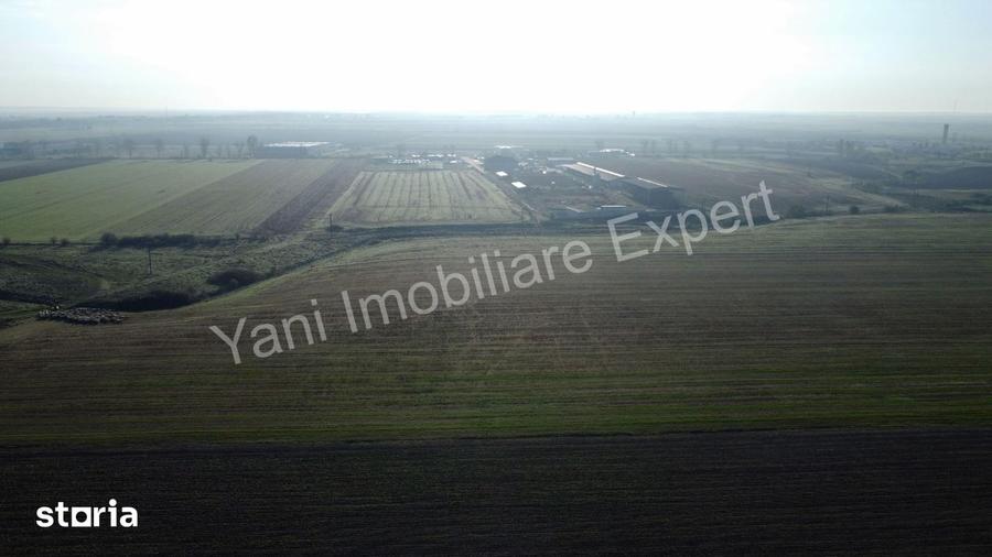 Teren de 10000 mp, în Căteasca