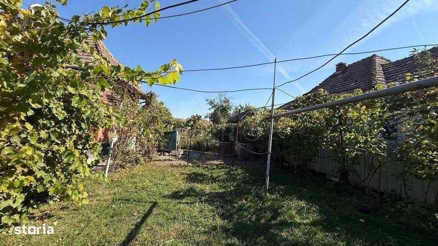 Casă cu 3 camere în Central
