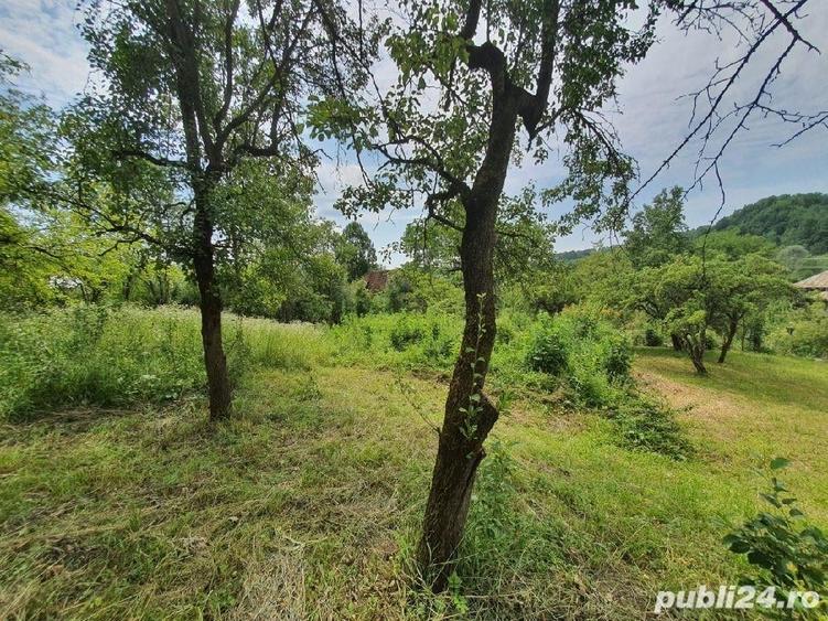 Teren de 2600 mp, în Râu Alb de Sus