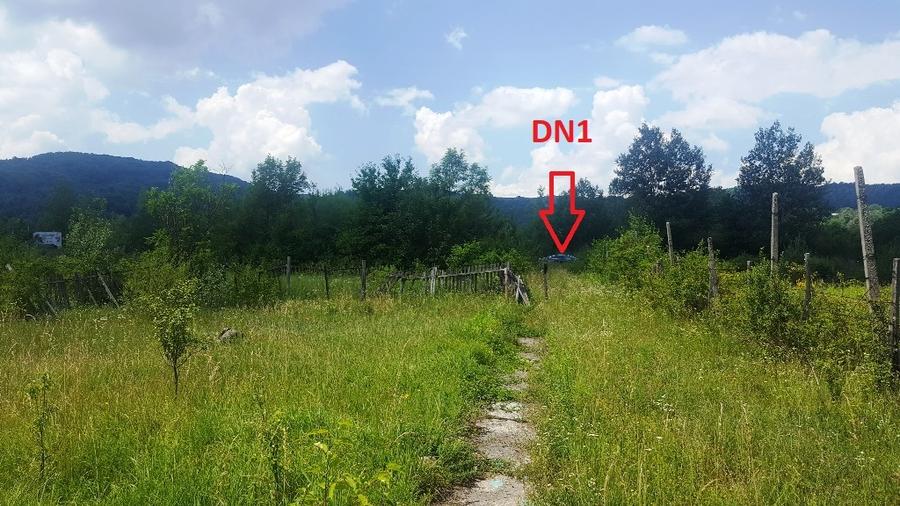 Casă individuală cu 4 camere cu Teren 4800 Mp în Cornu