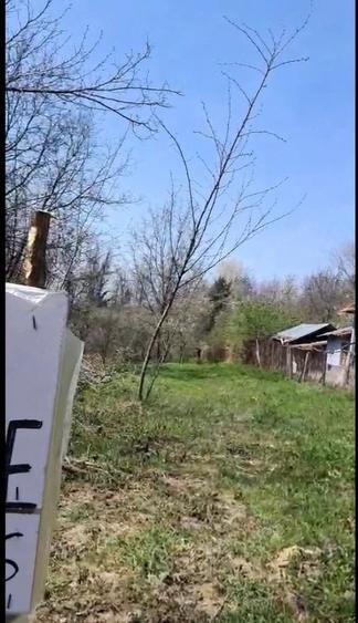 Teren de 3000 mp, în Cernelele