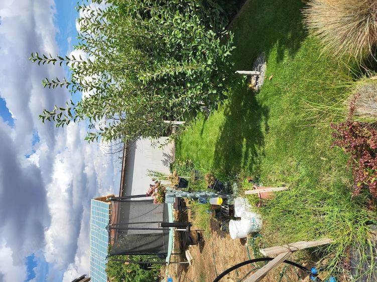 Casă cu Teren 646 Mp în Livada de Bihor