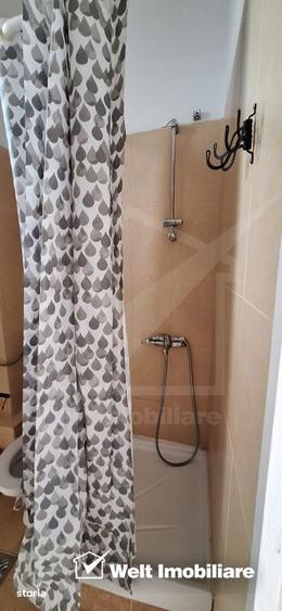 Apartament 1 camera, 45 mp, curte, Cipariu - 3