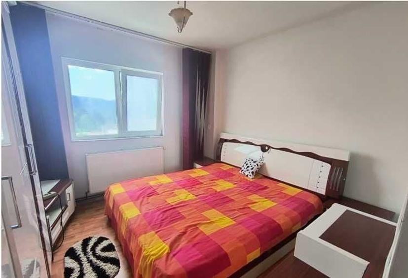 Apartament cu 3 camere decomandat în Valea Muscelului