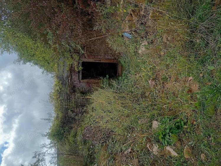 Teren de 8500 mp, în Șoimuș