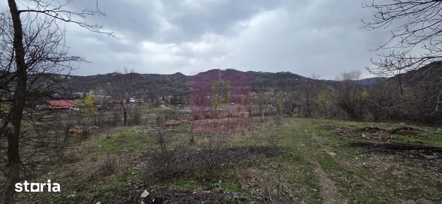 Teren de vanzare in Brebu - Raul Doftana - 7