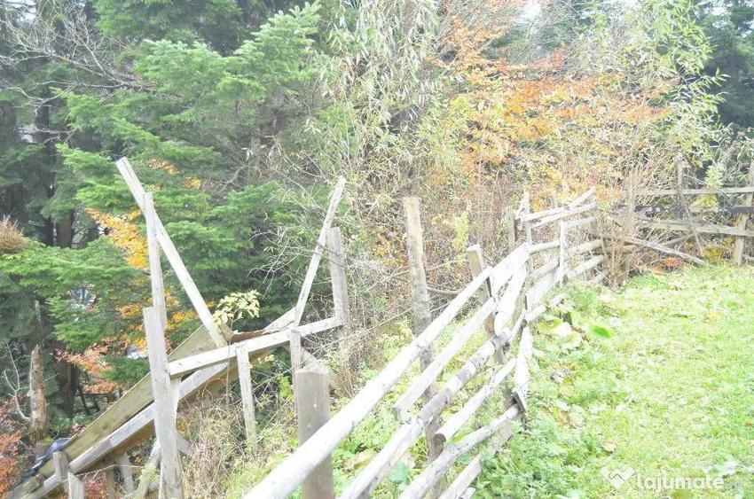Teren de 1300 mp, în Valea Alba