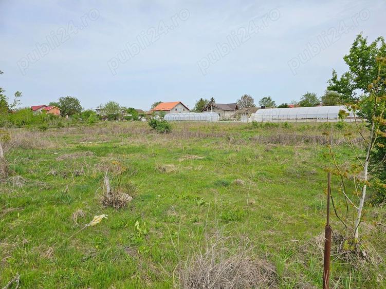 Teren intravilan curti constructii Darza pentru casa duplex 3km pana in Buftea Corbeanca A0 - 8