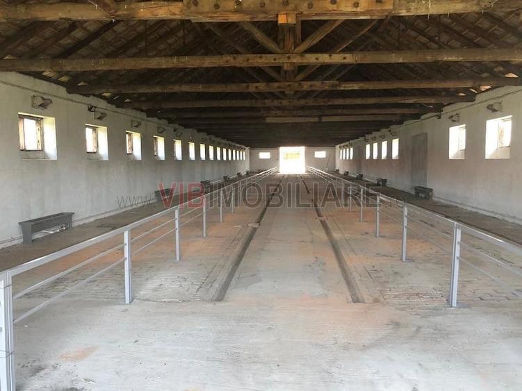 Ferma complet utilata 30 ha teren comasat cu 11.500mp grajduri renovate Timi? Comuna Biled - 9