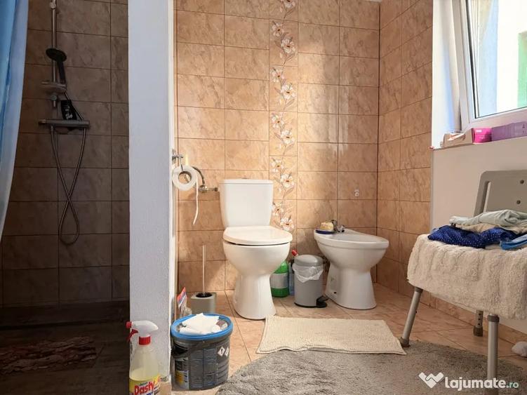 Casă cu 3 camere cu Teren 1245 Mp în Șag