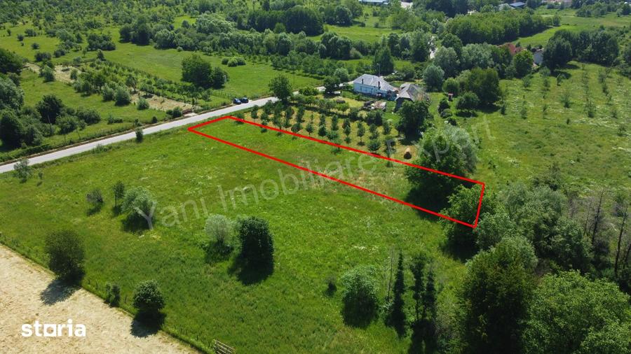 Teren de 2000 mp, în Domnești