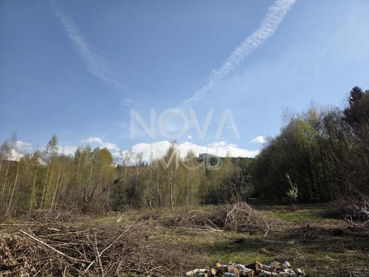 Teren Construcții intravilan de 1000 mp, în Viștișoara