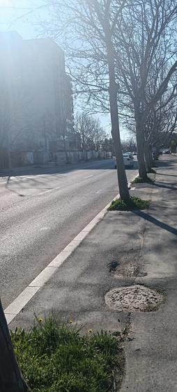 Teren de 4400 mp, în Sisești