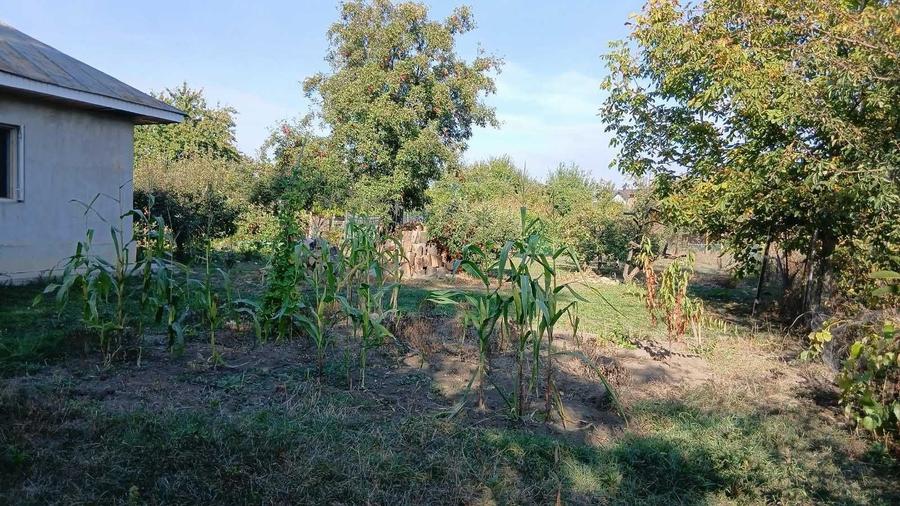 Teren de 650 mp, în Mărgineni