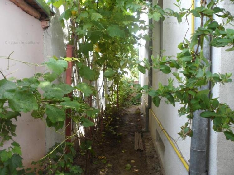 Casă cu 19 camere cu Canalizare în Central
