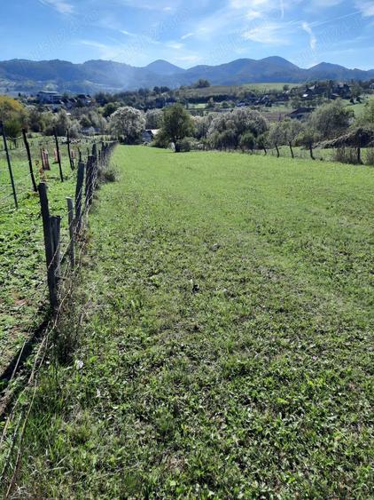 Teren de 2100 mp, în Sud