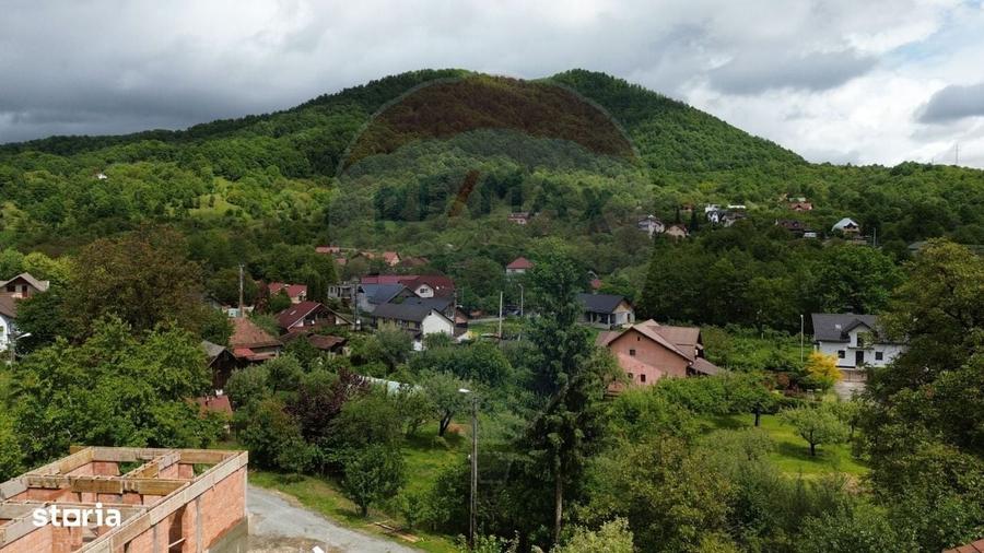 Spațiu comercial, în Valea Borcutului