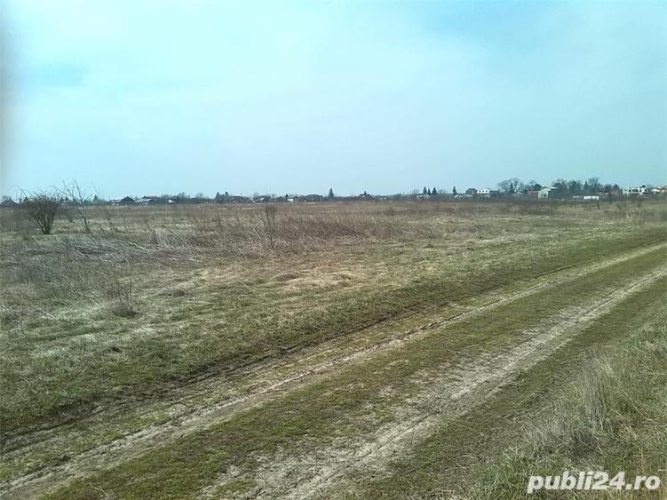 Teren de 600 mp, în Balotești