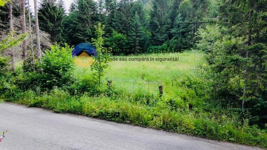 Teren intravilan de 14114 mp, în Schitu Tarcău