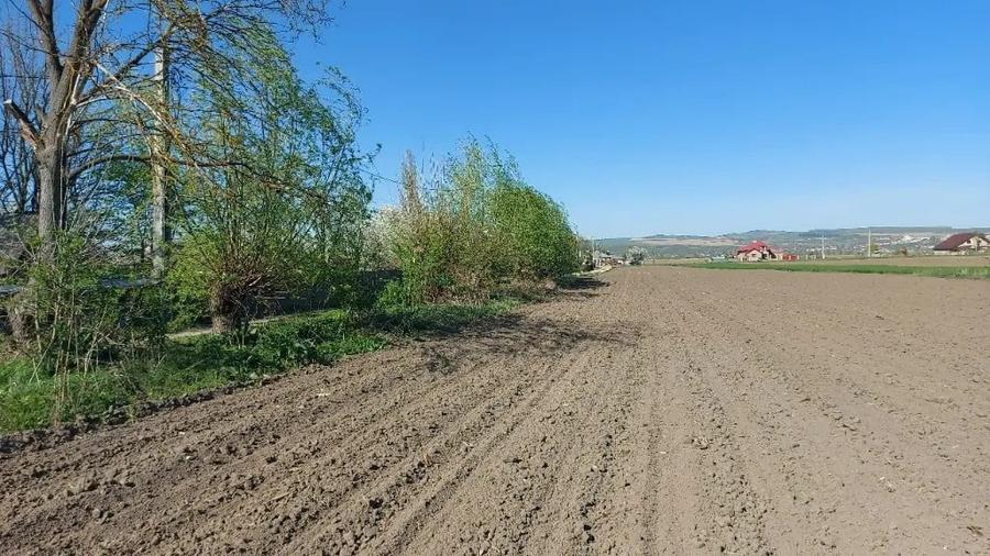 Teren de 10000 mp, în Blăgești