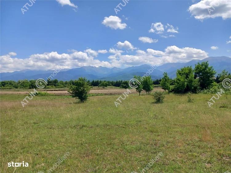 Spațiu comercial, în Avrig