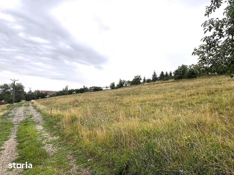 Teren de 6000 mp, în Nord