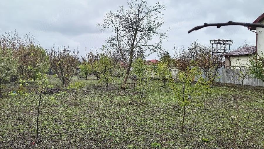 Teren de 300 mp, în Lazu
