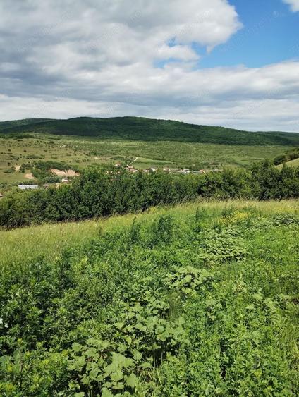 Teren de 2200 mp, în Rădaia