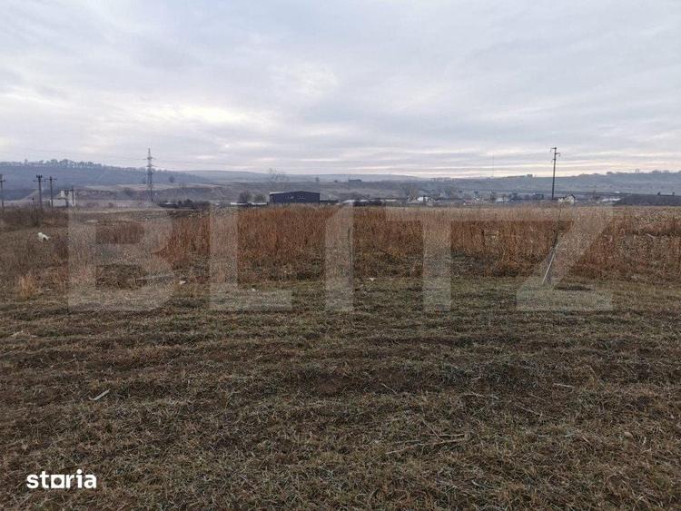 Teren de 5900 mp, în Pătrăuți