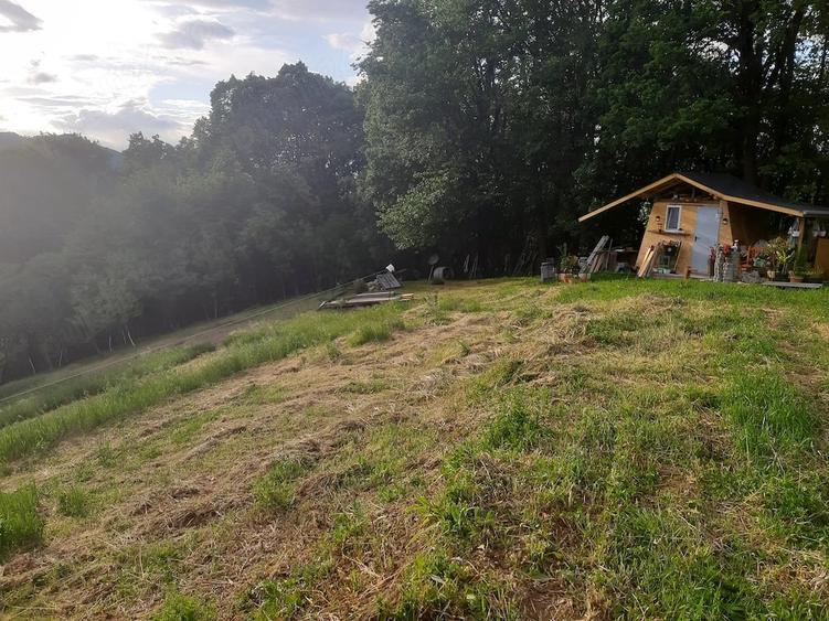 Teren în Dăești