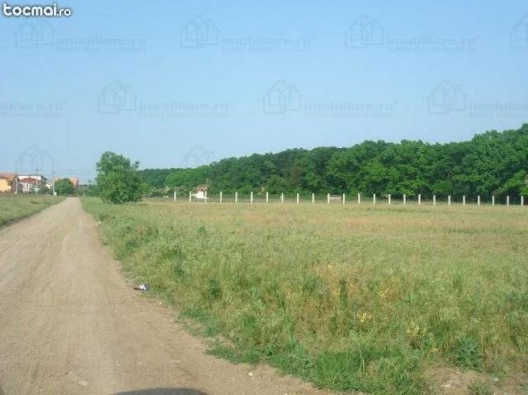 Teren Baneasa 1058 Mp Piscul Reghiului New - 1
