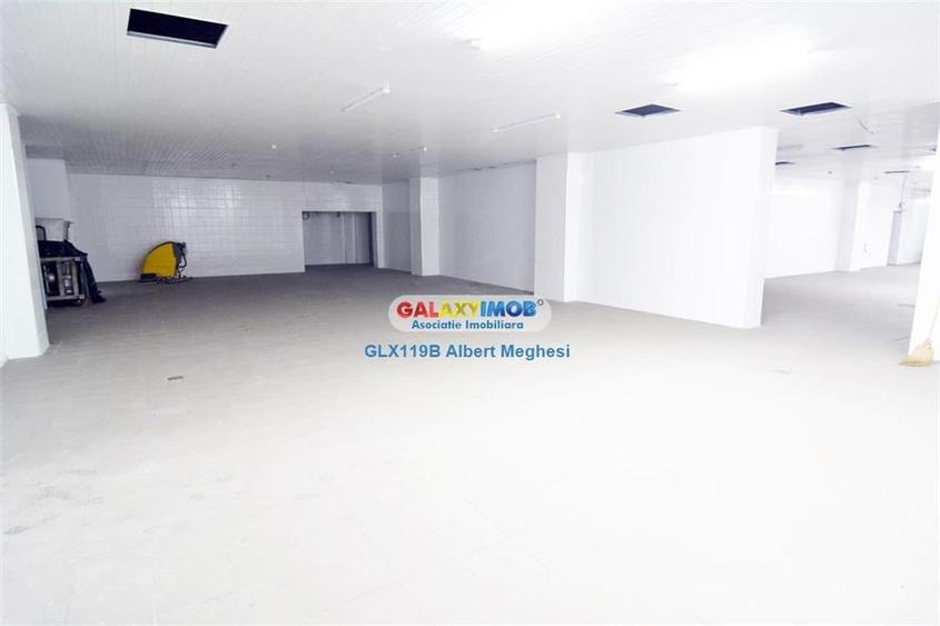 Inchiriere vanzare spatiu productie alimentara P-ta Delfinului - 3