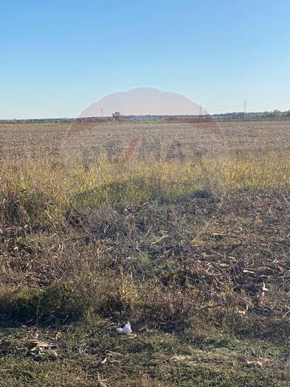 Teren intravilan constructii Stoenesti (Floresti-Stoenesti) / None - 12