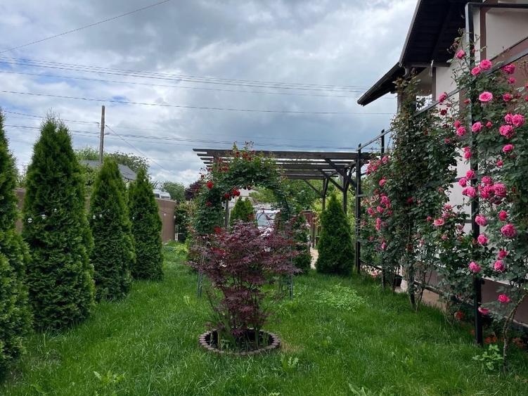 vand casa jud. Prahova - 5