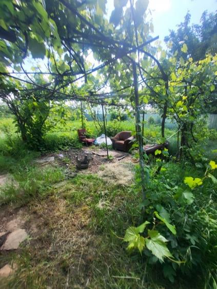 Teren Electricienilor Bacau - 1