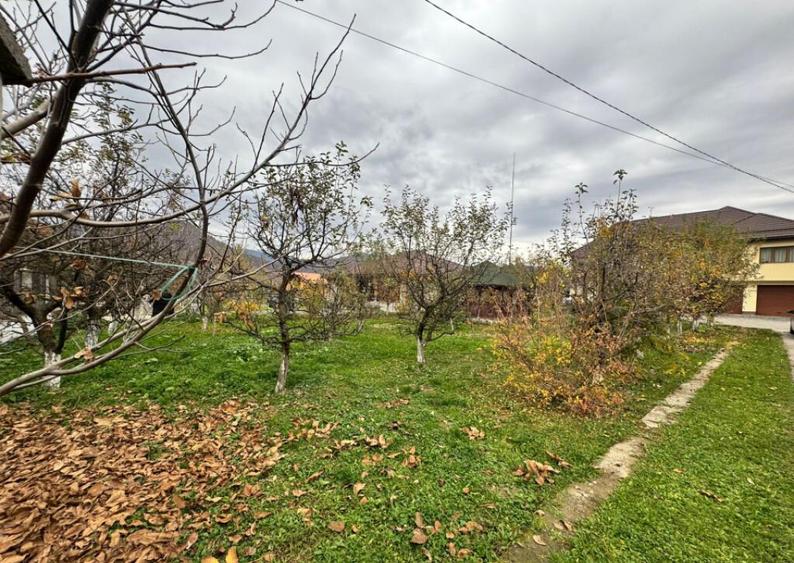 CASA DE VIS SAU AFACERE DE SUCCES BAIA SPRIE - 12