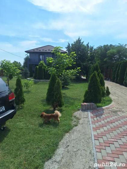 Vand casa Sculeni Ia?i - 6