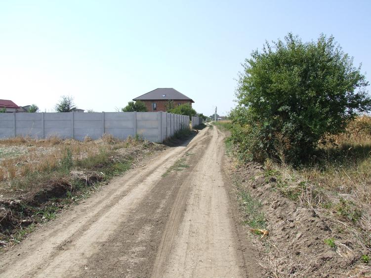 Domnesti-Teghes, teren 9.817 mp strada Pinului - 1