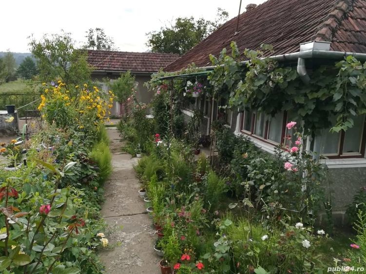 Vand casa in Luncoiu de Jos - 2